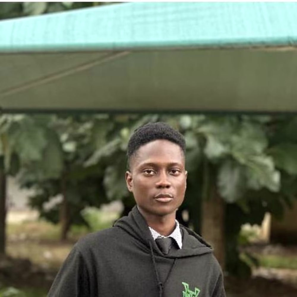 Adeniyi  Ayeni