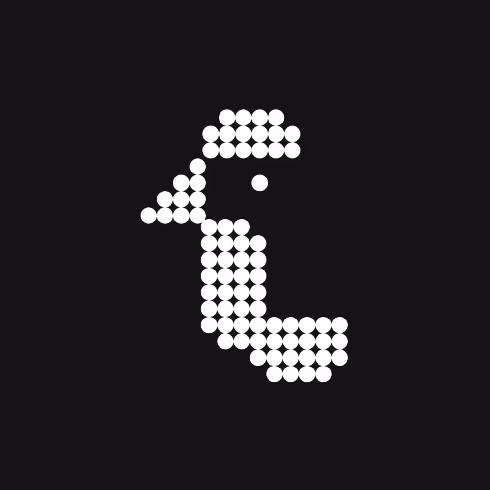 Pixeloose  