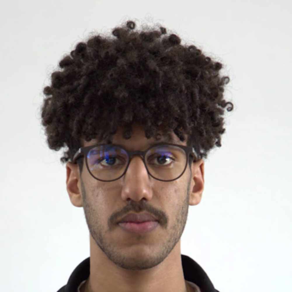 ossama elhaidi