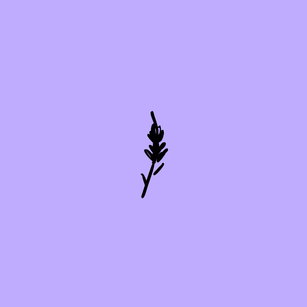 Lavenders Creative