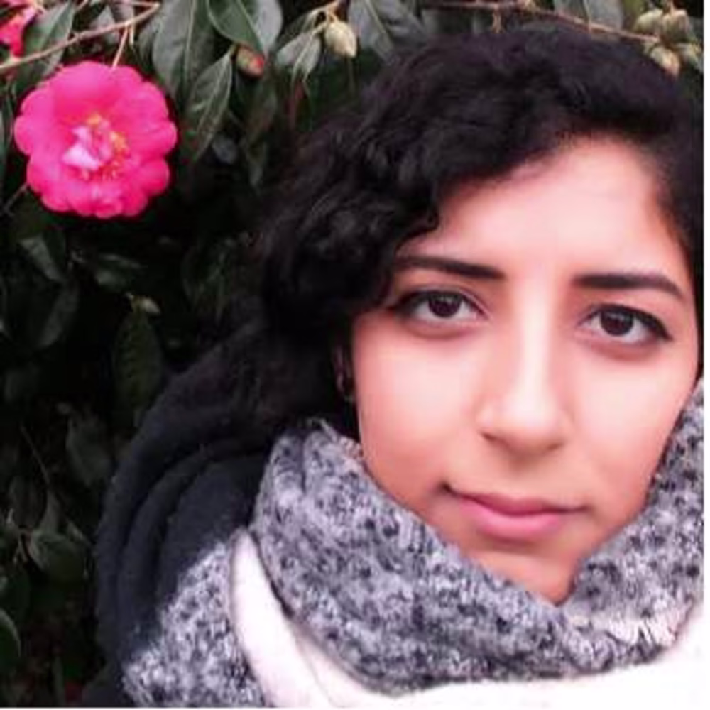 Niki Navdeep Sehmbi