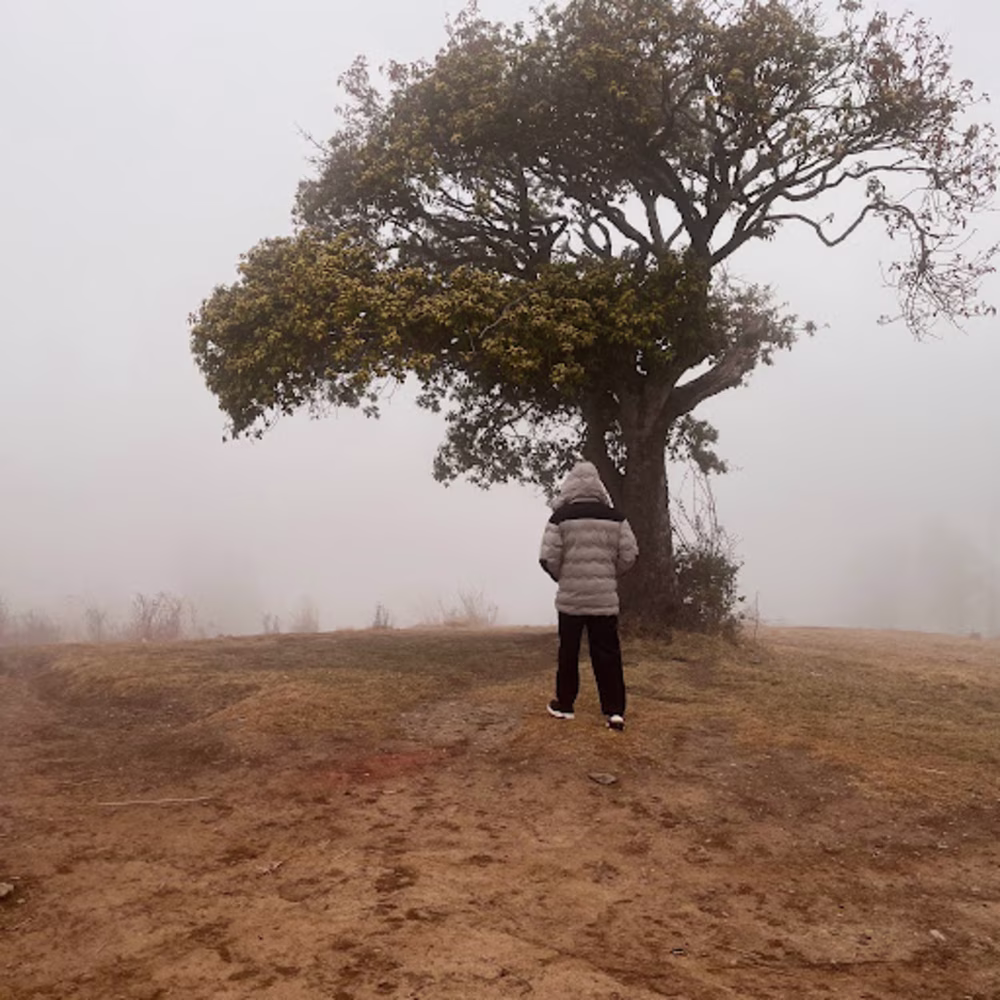 Ramandeep Singh