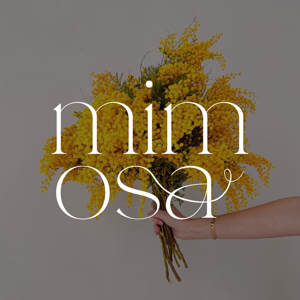 La Mimosa Studio