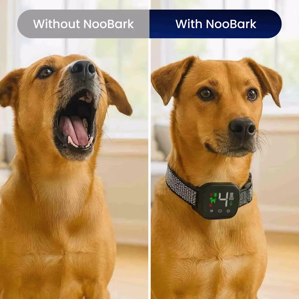 NooBark Anti Bark Collar