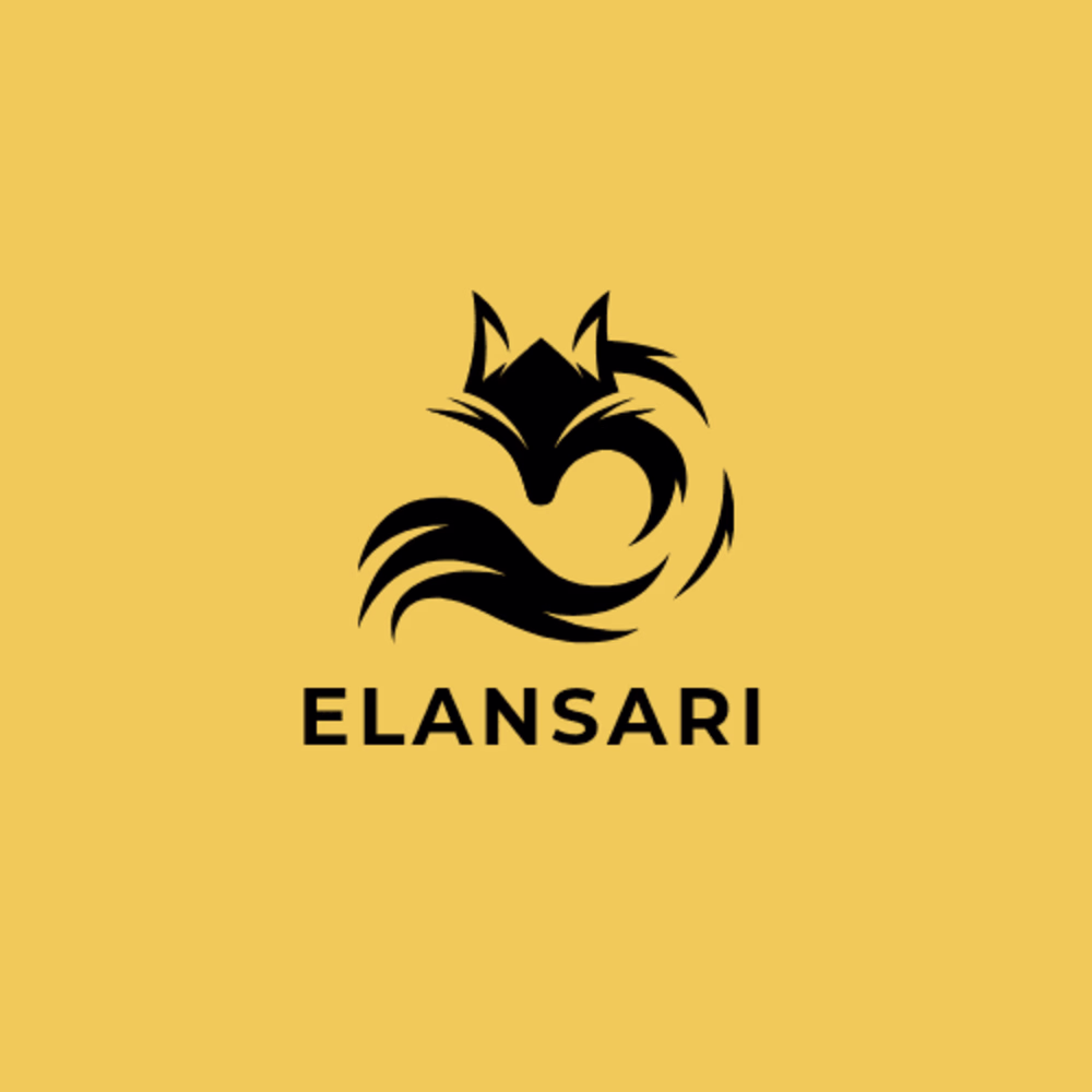 M'barek Elansari
