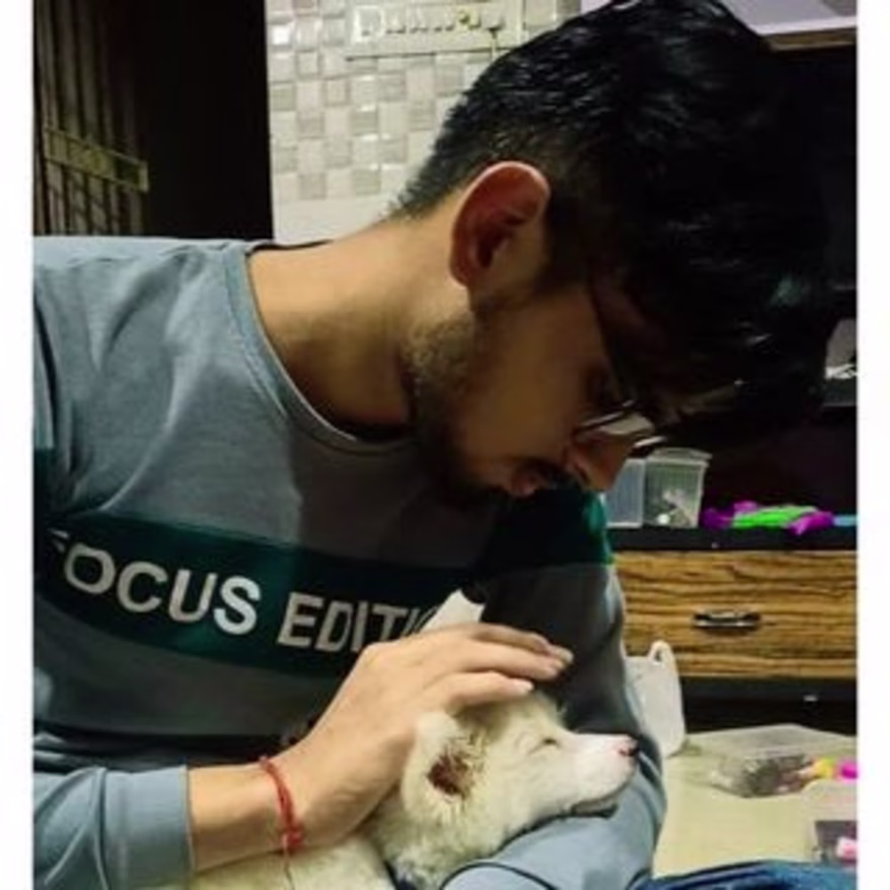 Harshit Rajput
