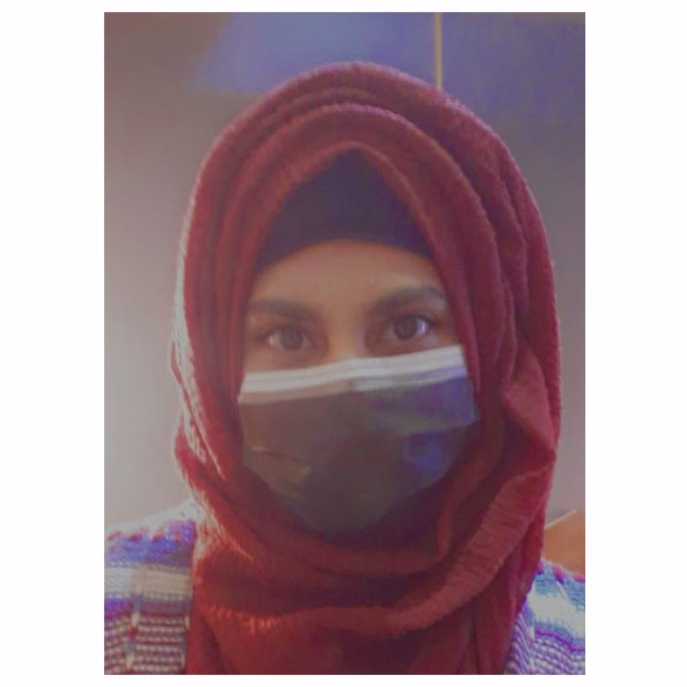Falak Iqbal
