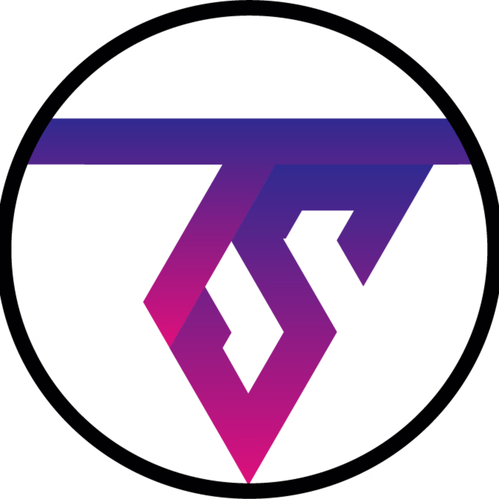 Techsiora Company