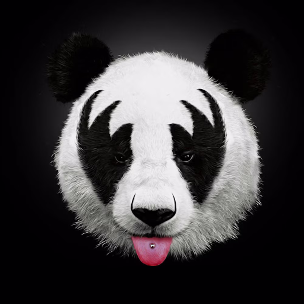 Stack Dev