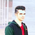 tohid avatar