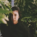 Lauana Granair avatar