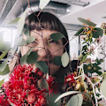 Melissa avatar