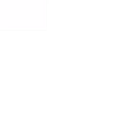 Galt Holding LLC logo