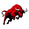 Bull avatar