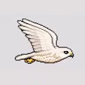 Corin avatar
