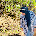 fathima avatar