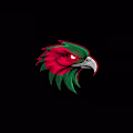 labib_ avatar