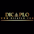 DICAPLO avatar