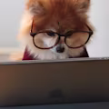 Dylan avatar