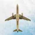 leyex avatar