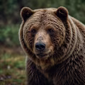 kiril avatar