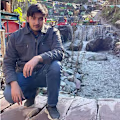 Mohtashim avatar
