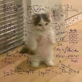 Sandra  avatar
