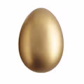 Blank avatar