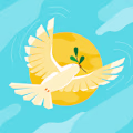 Ssali avatar