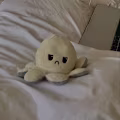 Steven avatar