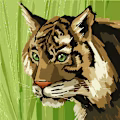 Sayed Mohammad avatar