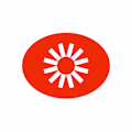 Visual Electric logo