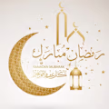 Sabir  avatar
