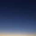 NZ avatar
