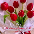 Ali avatar
