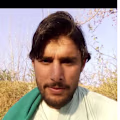 Shafiq  avatar