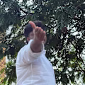 Mohammed avatar