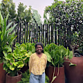 Venkata Vyshnavi avatar