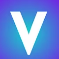 Vectribe Digital Agency logo