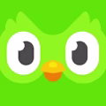 Duolingo logo