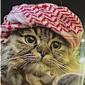 Jubran avatar