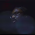 Pierre avatar