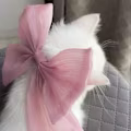 Asma avatar
