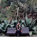 Angela avatar