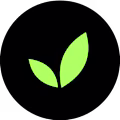 Developios logo