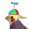 Meg avatar