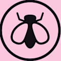 Flycor avatar