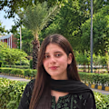 Rameen avatar