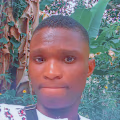 Ebom avatar