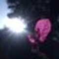 Sadiya avatar